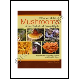 Edible and Medicinal Mushrooms of New England & Eastern Canada