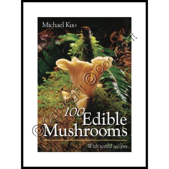 (image for) 100 Edible Mushrooms