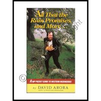 (image for) All That the Rain Promises and More