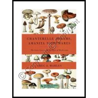 (image for) Chanterelle Dreams, Amanita Nightmares