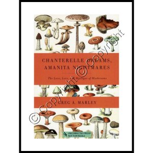 (image for) Chanterelle Dreams, Amanita Nightmares