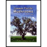 (image for) Common Florida Mushrooms