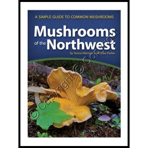 (image for) Mushrooms of the Northwest: A Simple Guide to Common Mushrooms