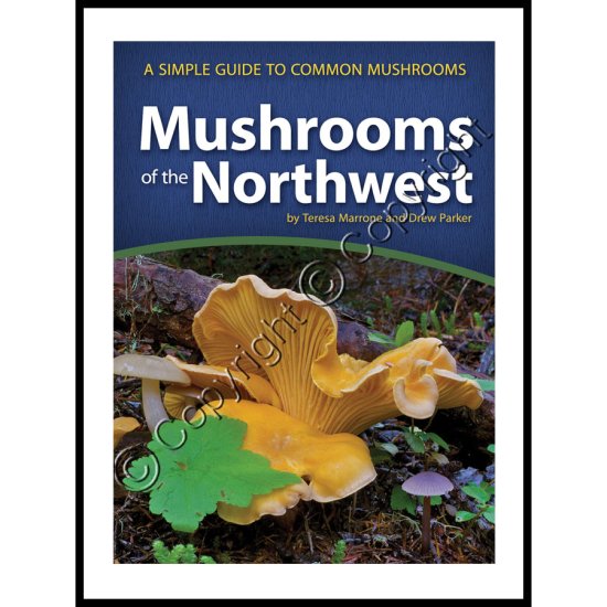 (image for) Mushrooms of the Northwest: A Simple Guide to Common Mushrooms