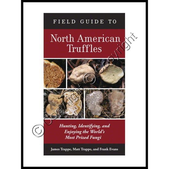 (image for) Field Guide to North American Truffles