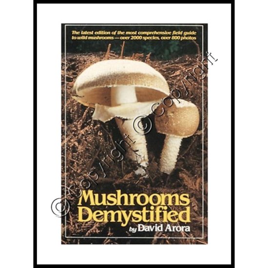 (image for) Mushrooms Demystified