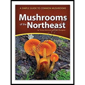 (image for) Mushrooms of the Northeast