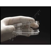 (image for) Disposable Stackable Petri Dishes - 60mm x 15mm - Sterile - 10/PK