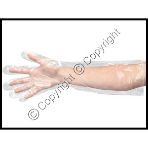 (image for) Replacement Poly Gloves for Glovebag