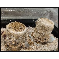 (image for) Sterile 3" x 3" Foil Square [Pack of 8]