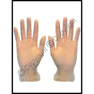 (image for) Pair of Powder Free Vinyl Lab Gloves