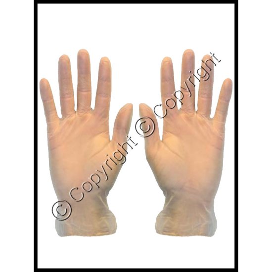 (image for) Pair of Powder Free Vinyl Lab Gloves